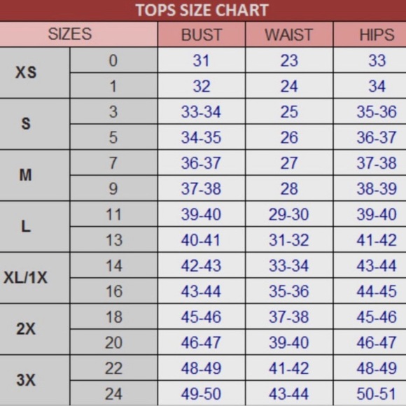 Champagne Floral Lace Camisole ~ Crop Top ~ Bralette - Picture 8 of 8